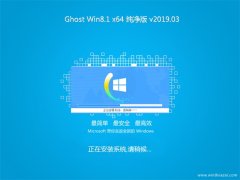 ԱGhost Win8.1 X64 201903(ü)